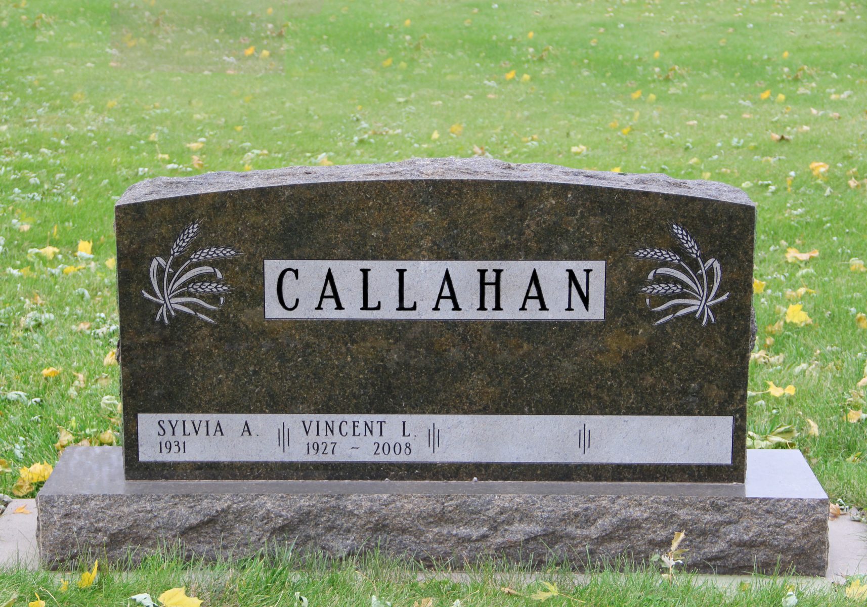 Callahan Web