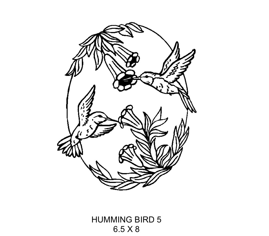 Humming Bird 5