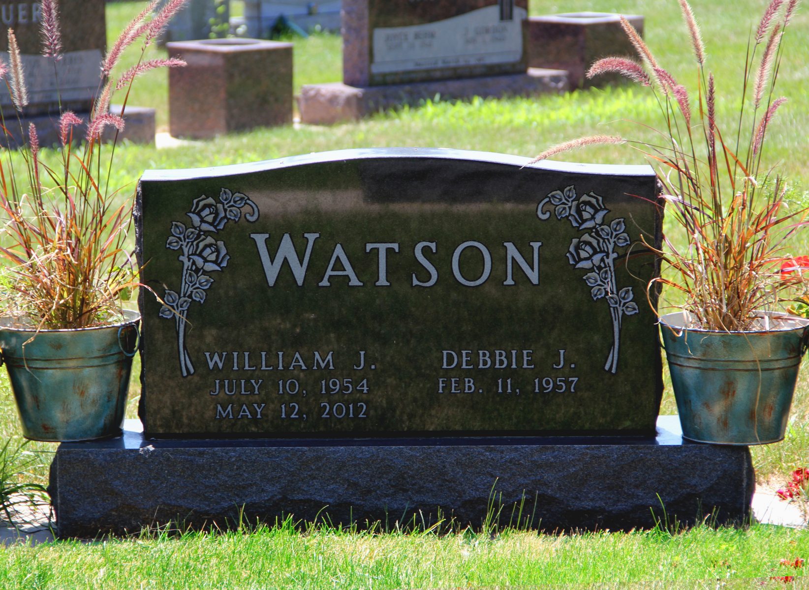 Watson Web