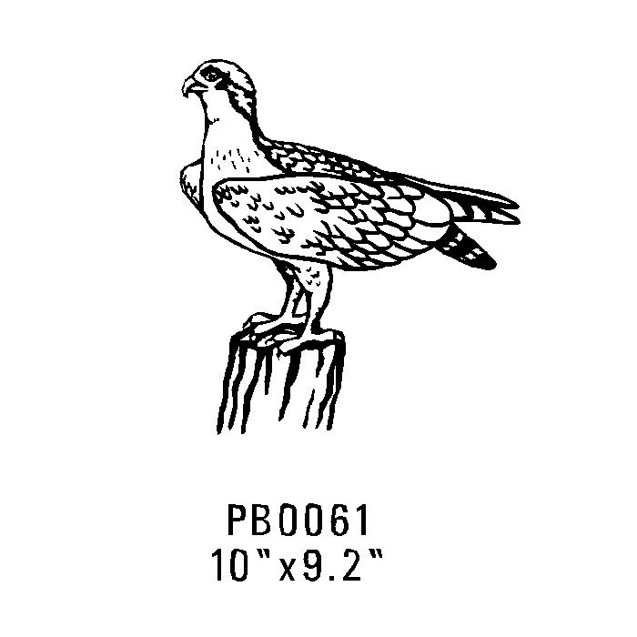 Pb0061