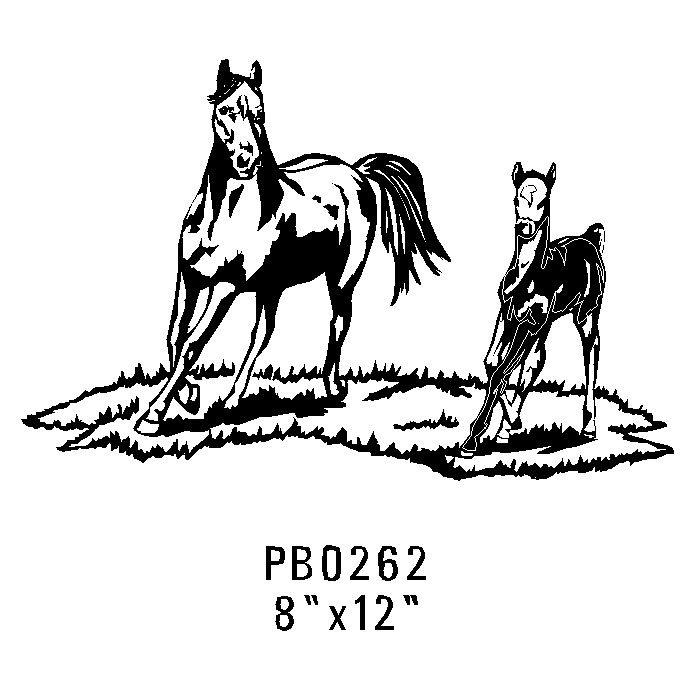Pb0262