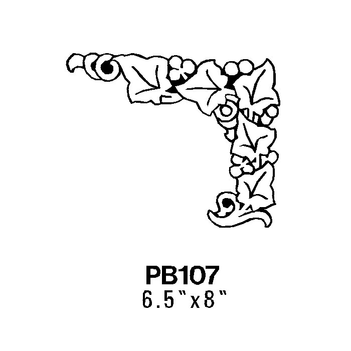 Pb107