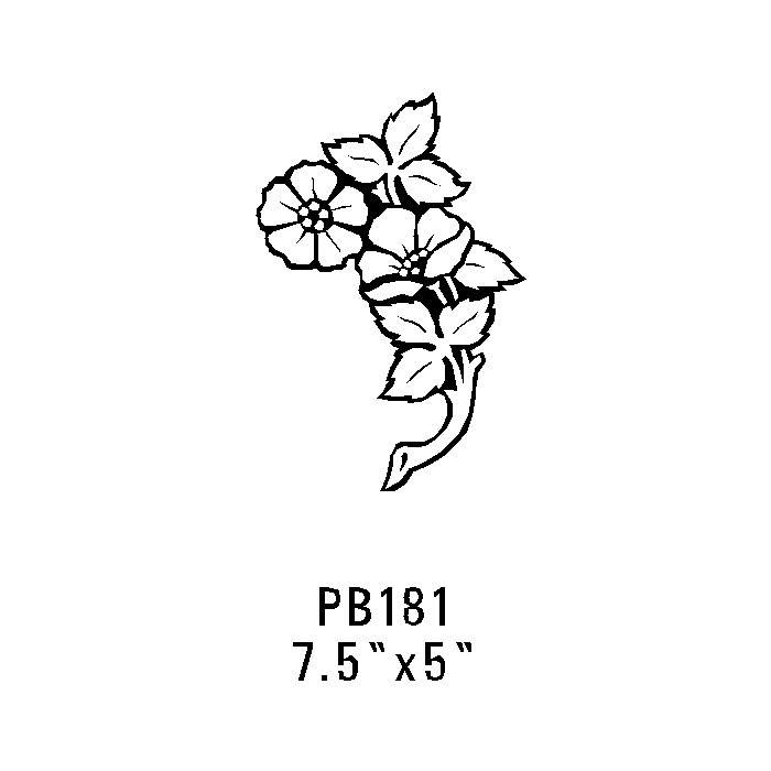 Pb181