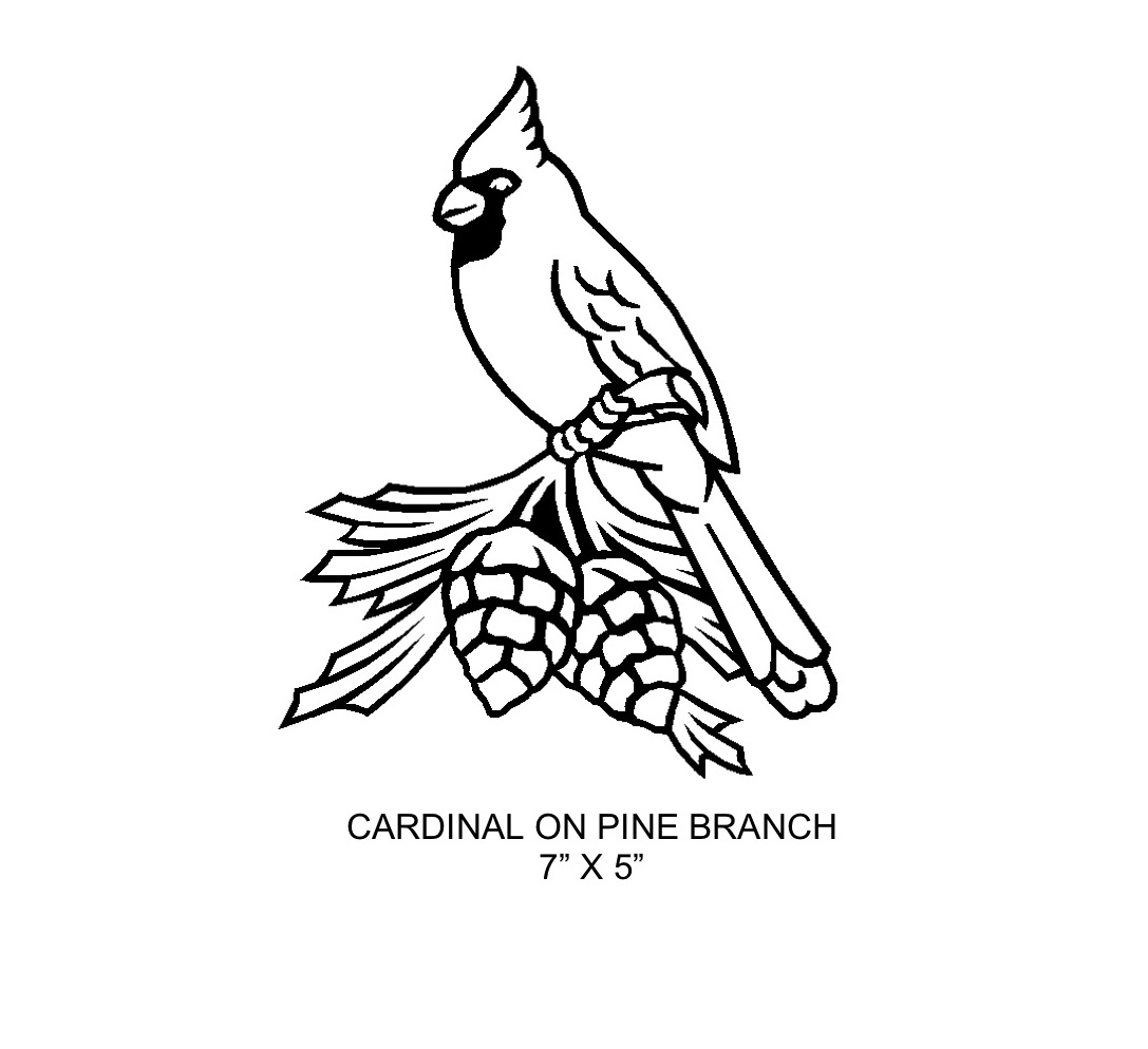 Cardinal On Pine Branch