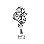 Daisy 3