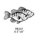 Pb237